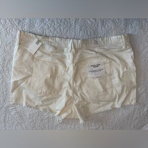 Cream plus size denim Shorts New with tags